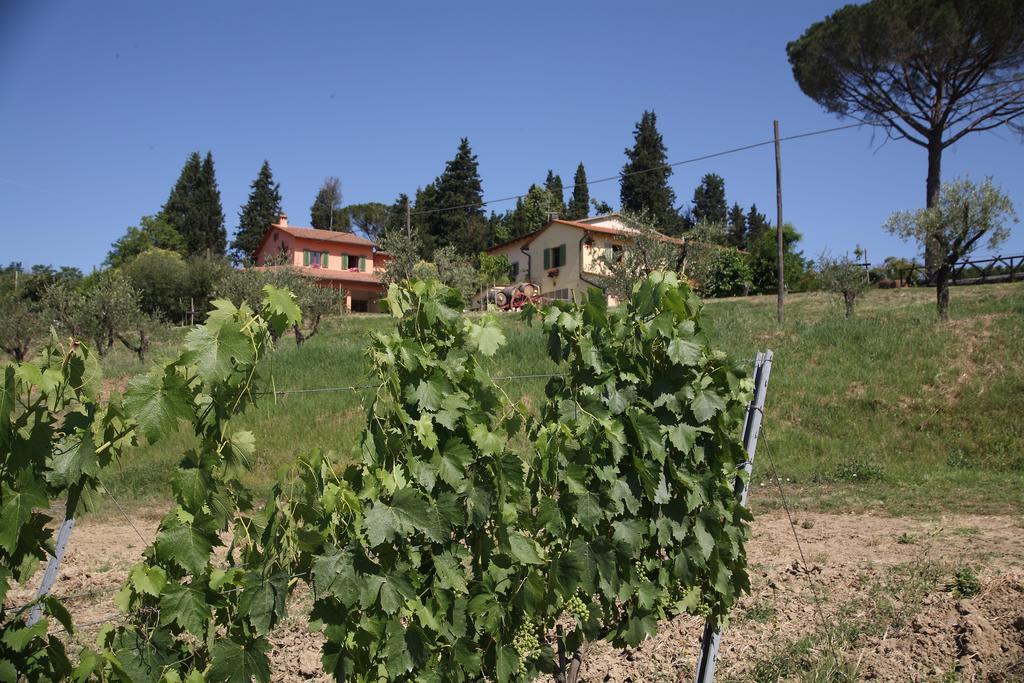 Agriturismo Podere Poggio Ai Cieli San Gimignano Ngoại thất bức ảnh
